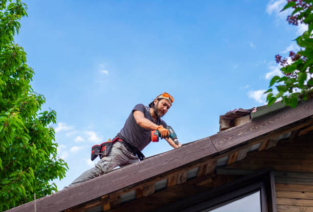 Best Roof Moss and Algae Removal  in Lake Mary, FL